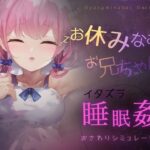「中出し」 お休みなさい、お兄ちゃん♪【睡眠姦・おさわりシミュレーション】 『同人』