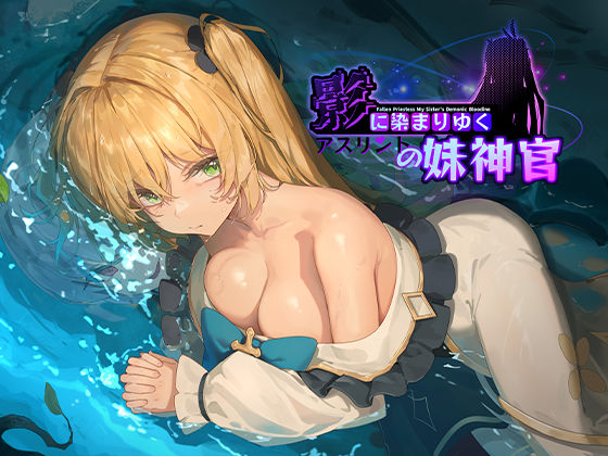 「中出し」 影に染まりゆく〜アスリントの妹神官〜 『同人』