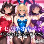 「中出し」 キセカエオナペット -F◯te stay night篇 その2- 『同人』