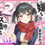 「中出し」 セックスが嫌いなジト目TS家出少女を一晩でメス堕ちさせた話2〜亀甲縛り露出セックスで性欲覚醒編〜 『同人』