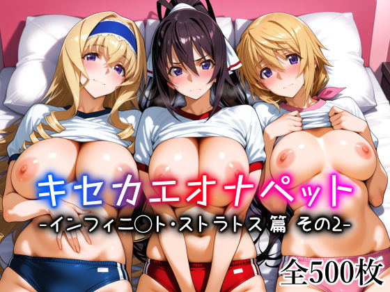 「中出し」 キセカエオナペット -インフィニ◯ト・ストラトス篇 その2...