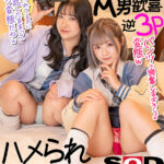 【中出し】 【VR】ハメられ撮りVR 2 ミニスカビッチJ○に辱められながらイカされまくるM男歓喜逆3P 『高画質』