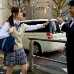 【中出し】 粘着ストーカー親父と援交で再会…睡眠剤を飲まされ、眠っている間にナマで好き放題犯●れた 弱みを握られ何度も何度も呼び出すオヤジの中出しの餌食に！！ 花芽ありす 『高画質』