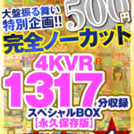 【中出し】 【VR】【500円ワンコイン】完全ノーカット大盤振る舞い特別企画!!4KVR1317分収録スペシャルBOX【永久保存版】 『高画質』