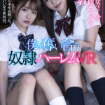 【中出し】 【VR】美少女2人を半年間たっぷり調教 僕を奪い合う奴●ハーレムVR 『高画質』