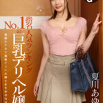 【中出し】 【VR】指名人気ランキングNo.1の巨乳デリヘル嬢 夏川あゆみ Gカップ 『高画質』