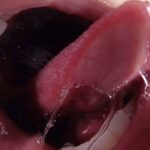 【中出し】 密着して舐め尽くす むしゃぶり唾液痴女 本田岬 『高画質』