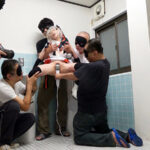 【中出し】 ガチ8P超乱交！低身長140cm台妖精美少女レイヤー18歳・ギリ合法ちびっ子純白ボディを極太カメコ集団がブチ込み制裁「もうヤダ、すぐイッちゃう～ぅ！」【白目エビ反り発狂アクメ】連発で誰でも膣射OK公衆便所転落2本立SP 『高画質』