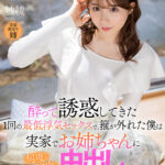 【中出し】 【VR】酔って誘惑してきた1回の最低浮気セックスで、箍が外れた僕は実家でお姉ちゃんに何度も何度も中出ししまくった 紗綾 『高画質』