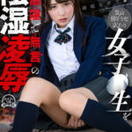 【中出し】 【VR】女に耐性のない根暗なボクが気の弱そうな訳あり女子●生を汚部屋で無言の陰湿凌● 『高画質』