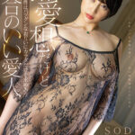 【中出し】 無愛想だけどセックスの相性はバツグンなお互いにカラダだけを求めあう都合のいい愛人 夏目響 『高画質』