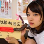 【中出し】 絶対妊娠！ガン反り生チ○ポで孕ませ中出しSEX！ あべみかこ 『高画質』