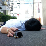 【中出し】 転生したら推しの子だった～AVエリートの俺と人気セクシー女優の母が極秘で楽しむ非人道的プライベートセックス～ 白木優子 『高画質』