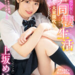 【中出し】 【VR】制服美少女とイチャラブ同棲生活2SEX大量潮吹き大絶頂SPECIAL！！ 白い肌とぷるるんおっぱいが最高のカノジョとの同棲スタート高画質！！ 上坂めい 『高画質』