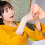 【中出し】 真面目な姉がボクのオナホを発見！使い方を何度も聞いてくるので、実演するからオカズになるよう要求したら好奇心が勝ってパンツやオッパイを見せる姉 『高画質』