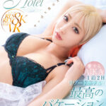 【中出し】 【VR】愛するAIKAとリゾートホテルで1泊2日最高のバケーション体験VR 8K高画質SPECIAL！！ 『高画質』