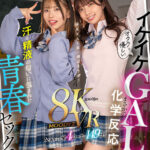 【中出し】 【VR】オタクに優しいイケイケGALとまさかの化学反応…汗と精液の匂いに包まれた青春セックス劇 石原希望 葵いぶき 『FANZA』