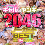 【中出し】 最高にトガッてて最高に優しくて最高にエロい！年中発情期ギャル＆ヤンキー ノーカットBEST 厳選14タイトル2046分！ 『FANZA』