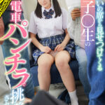 【中出し】 【VR】向かいの席から見せつけてくる女子○生の電車パンチラで挑発されて… 『FANZA』