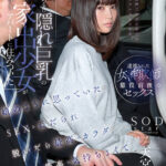 【中出し】 ある日 隠れ巨乳の家出少女がアパートに住みついた 娘のように思っていたがSEXをねだられ 脱いだら最高のカラダで人生で最高に気持ちよくて ヤリまくった日々 天宮花南 『FANZA』