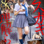 【中出し】 【VR】【8K】メスガキ理解らせVR-塩対応でクソ生意気なP活J系をクスリ漬け生ハメで再教育- 『FANZA』