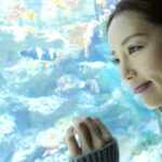 【中出し】 演技演出一切なし！照れて惚れるハメ撮り丸一日デート 美咲かんな 『FANZA』