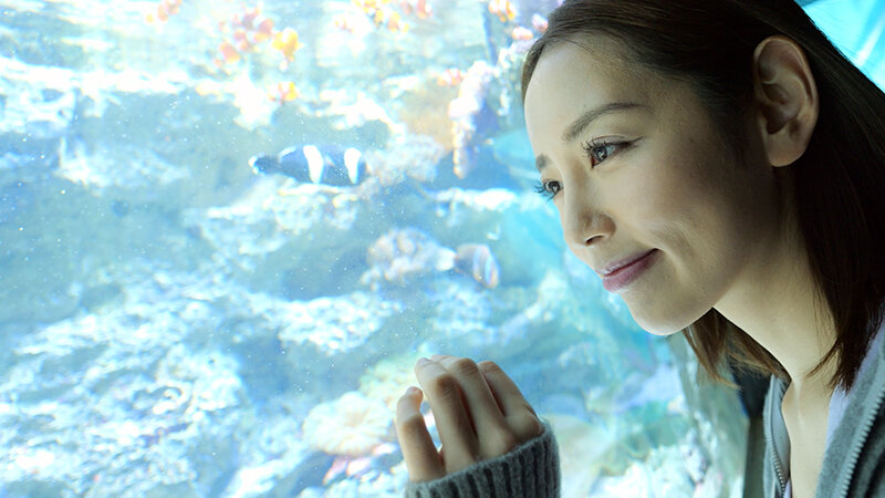 【中出し】 演技演出一切なし！照れて惚れるハメ撮り丸一日デート 美咲か...