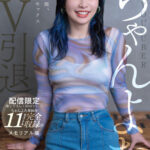 【中出し】 【配信限定1670分】筋トレYou●uberちゃんよたAV引退。撮り下ろし＋SODリリースのちゃんよた単体作11タイトル完全収録のメモリアル版 『FANZA』