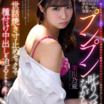 【中出し】 【VR】【8K VR】「脳みそ早漏すぎ！」素直になれない栄川さんは、片想い中の後輩クンをプンプン叱りつけながら、世話焼き寸止めセックスで種付け中出しを迫るアラサーロリ上司。 栄川乃亜 『FANZA』