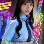 【中出し】 【VR】【8K VR】美人刑務官の絶対調教 尾崎えりか 『FANZA』