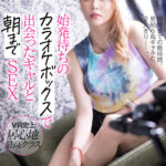 【中出し】 【VR】始発待ちのカラオケボックスで出会ったギャルと朝までSEX 『FANZA』