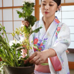 【中出し】 女将・潤うるるが絶倫親父を満足させるまでイカせ続ける濃厚ベロキスおもてなしSEX 「お客様からの評価（5.00）の最高級淫乱旅館『清潤荘』へようこそー。」 『FANZA』