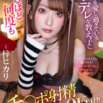 【中出し】 【VR】僕の事を愛し過ぎているヤンデレな教え子に沼るほど何度もチ〇ポ射精させられた8KVR！！ 梓ヒカリ 『FANZA』