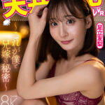 【中出し】 【VR】天井特化アングルVR ～これが僕と兄嫁の秘密～ 足立友梨 『FANZA』