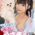【中出し】 【VR】胡桃さくらの愛犬うさぎ君になれるVR ～わんわん中出し調教～ 『FANZA』