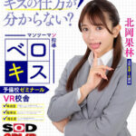 【中出し】 【VR】【8K】マンツーマン指導 ベロキス予備校ゼミナール VR校舎 北岡果林 『FANZA』