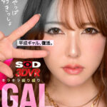 【中出し】 【VR】【8K】平成ギャル、復活。キラキラ盛り盛りGALと24時間ダラダラ中出しSEX 『FANZA』